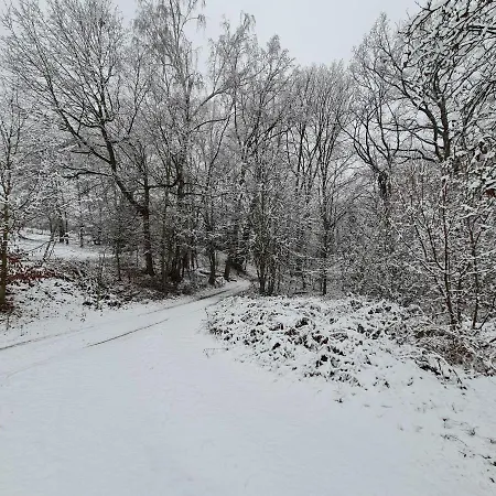 Ferienwohnungen an der Bosel Coswig  Exterior foto